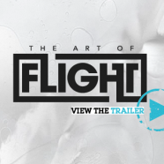 The art of flight